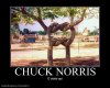 chuck qui.jpg