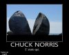 Chuck Norris Damage.jpg