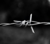 Barbed_Wire_BW-wallpaper-10442339.jpg