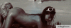 tumblr_m2g1ilnz5C1rtdtq3o1_400.gif