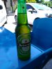 IMG_20150605_142925.jpg
