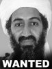 osamabinladen1.jpg