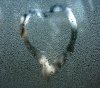 Drops_Window_Heart-wallpaper-10619452.jpg