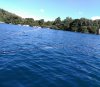 IMG_20150628_172915.jpg