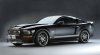 61546d1217875312-black-widow-mustang-dsc_0098.jpg