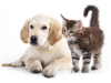 upload_2015-7-24_13-52-26.png