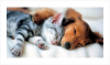 upload_2015-7-24_13-52-42.png