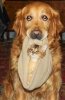 IMG_13540029536648.jpeg