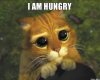 i-am-hungry.jpg