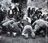 4-1393087166.jpg 4-1393087166.jpg