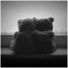 Favim.com-black-and-white-cute-love-teddy-teddy-bear-412240.jpg