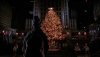 Home Alone 2 - Biggest Christmas tree.jpg