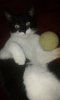 20160202_113644.jpg