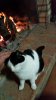 IMG_20160226_201644.jpg