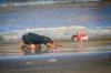 chris-hemsworth-beach-yoga.jpg