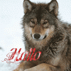 e2bgu2a3cbh.gif