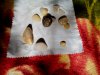 IMG_20180930_143803.jpg