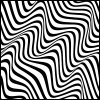 zebra-lines.jpg