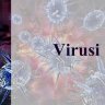 VIRUSI