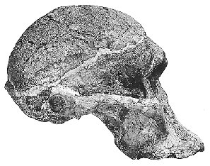 sts5.jpg