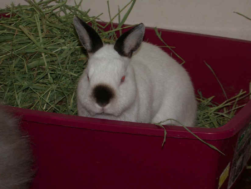peter_071301.jpg
