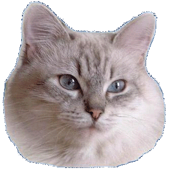 oksanakopf2.gif