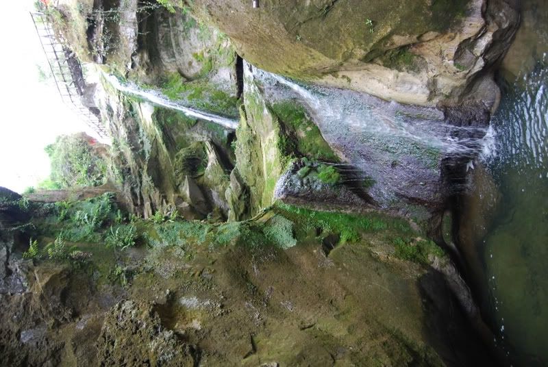 DSC_0224.jpg