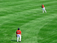71646767_b8a4d60237_m.jpg