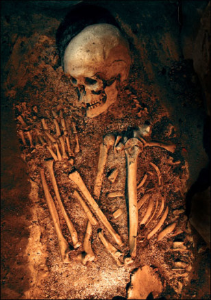 090114_neanderthal_439p.grid-4x2.jpg
