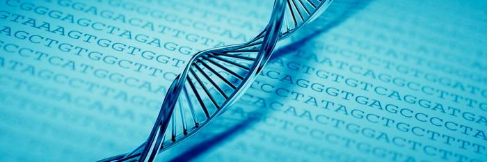 dna-strand-code-resized.jpg