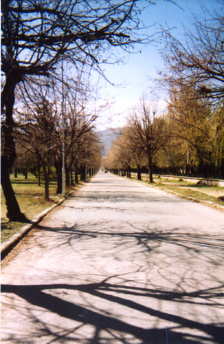 pogradec16.jpg