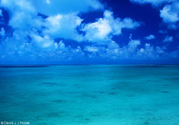 0206carib1.jpg