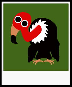GLOO-ANIMAL-CLARK-VULTURE.gif