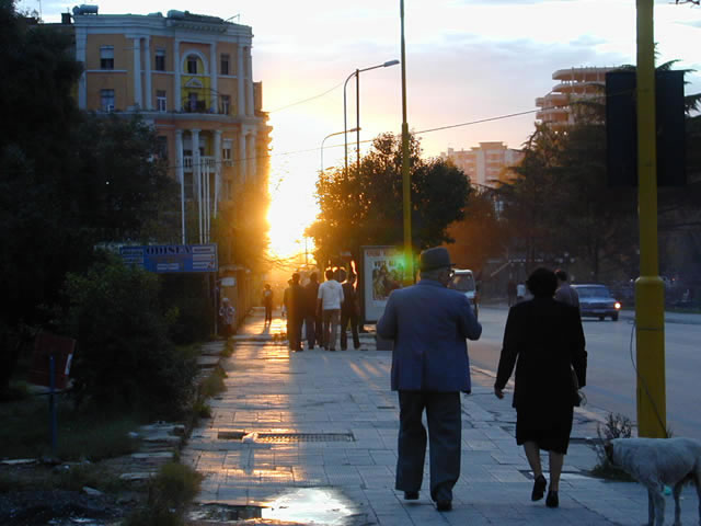 P1010205_jpg.jpg