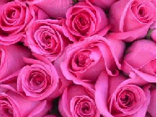 img14.gif