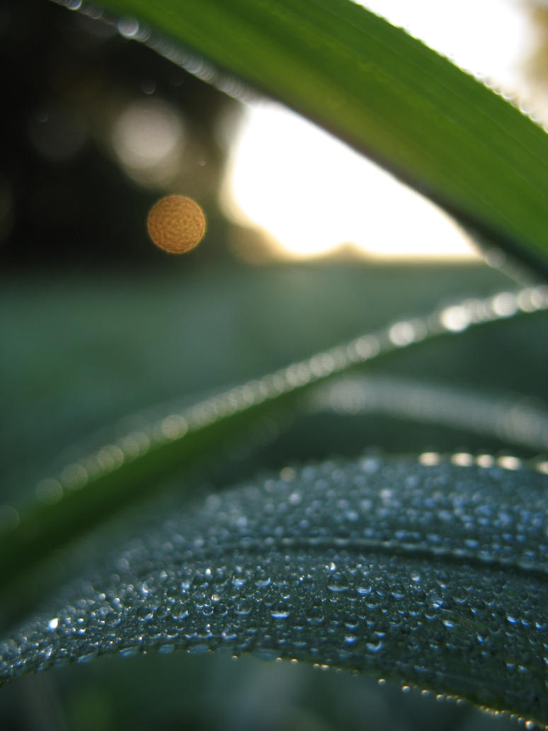 Abstract_Morning_by_upsguy1997.jpg
