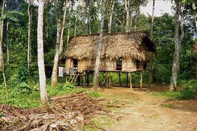 hut.jpg