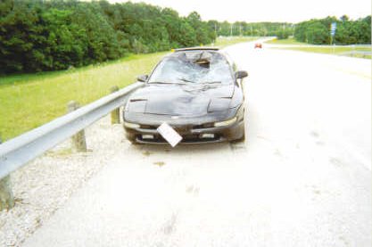 runover3.jpg