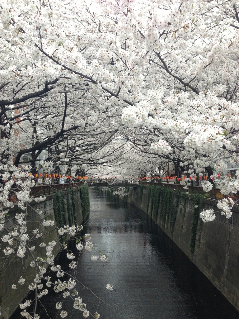 20130325-211917.jpg