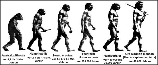 evolution_grafik.jpg