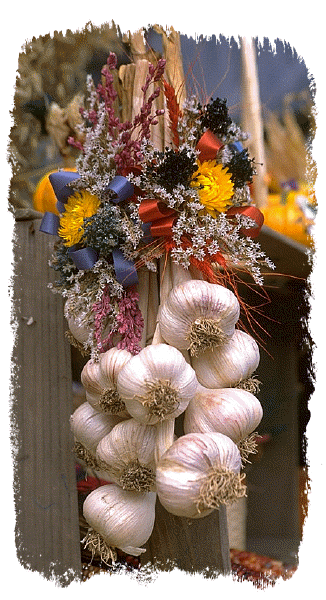 garlic.gif