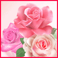 1011-008-89-1042.gif