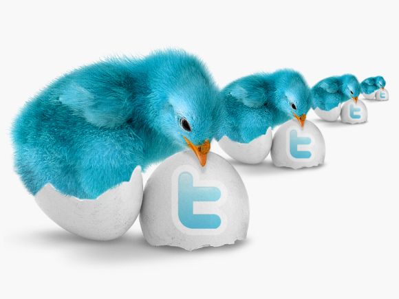 Blue_Bird_Twitter_Icon_Pack_by_detrans.jpg