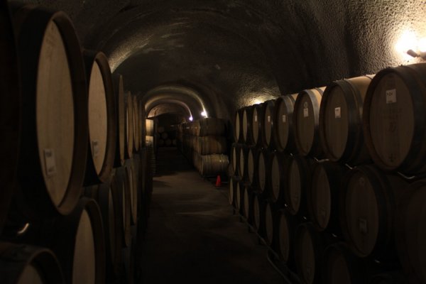 cave-tour-of-eberle-winery1.jpg