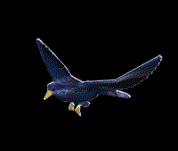 Oiseau3.gif