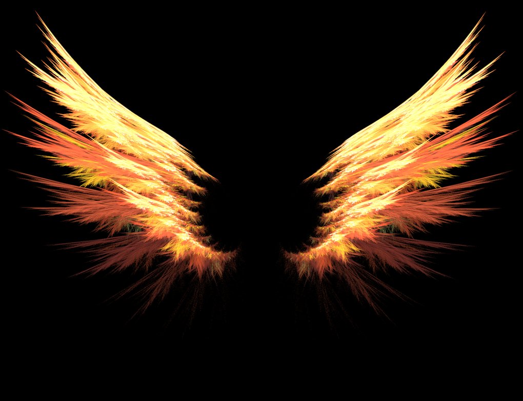 Wings.jpg