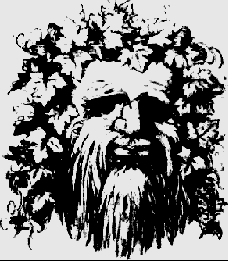 opticalillusions32.gif
