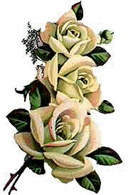 christmas-rose.gif