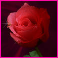 1011-021-01-1042.gif