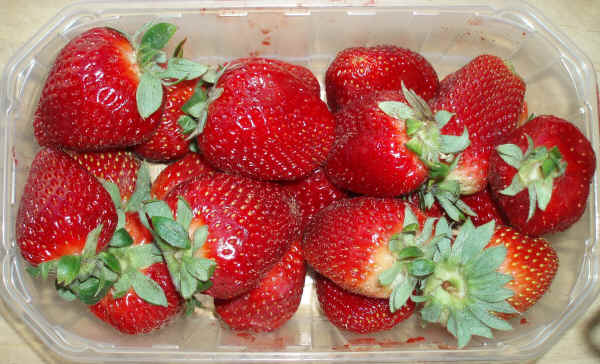 fragole.JPG